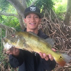 Meet your Posher, Sage